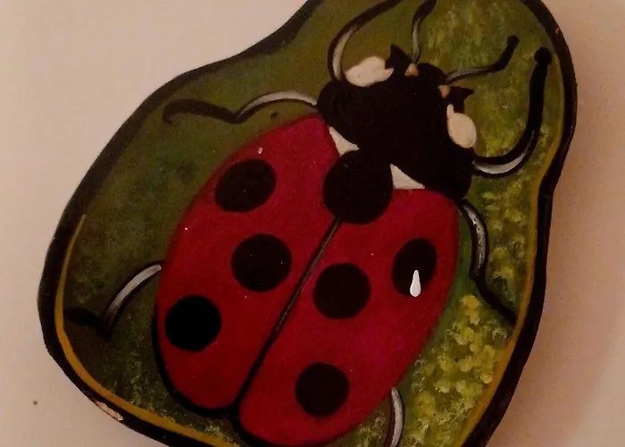 In A Neoclassical House - Ladybug